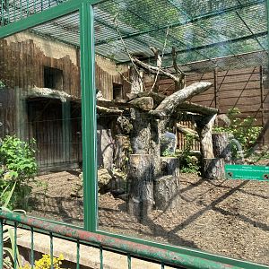 Persian leopard exhibit
