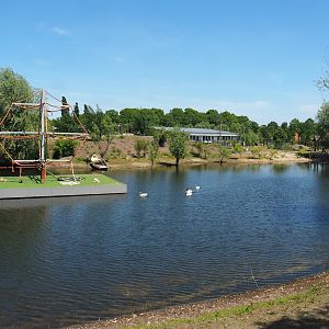 South American exhibit lake with future spider monkey island, 2023-05-31