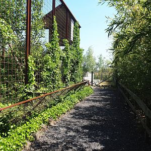 Walkway alongside Steller's sea eagle aviary, 2023-05-31