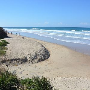 NSW Beach scene.