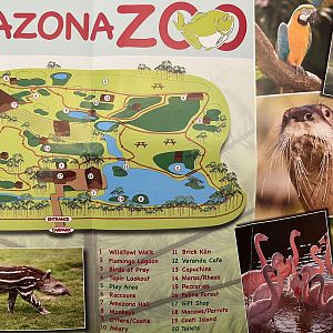 Zoo Map - undated