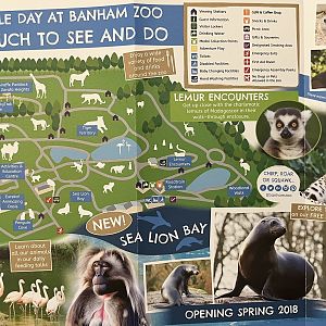 Zoo Map - 2018
