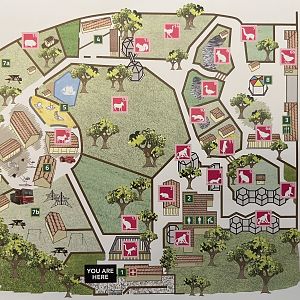Zoo Map - 2018