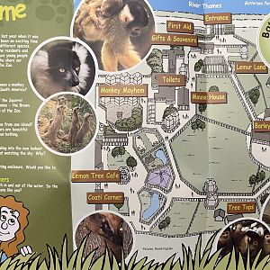 Zoo Map - undated