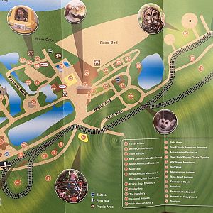 Zoo Map - 2011