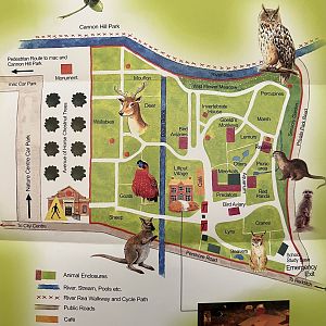 Zoo Map - undated