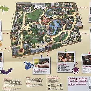 Zoo Map - 2010