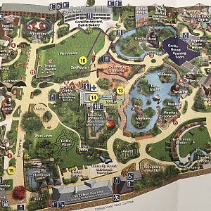 Zoo Map - 2013