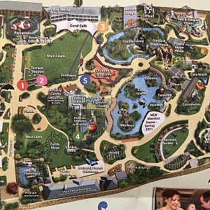 Zoo Map - 2011
