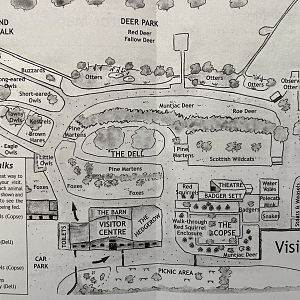 Zoo Map - 2010