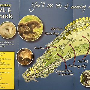 Zoo Map - undated