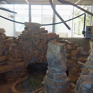 Blue-headed macaw and Plains viscacha indoor exhibit, 2023-05-31