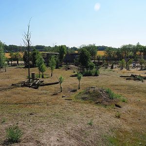 South American exhibit, 2023-05-31