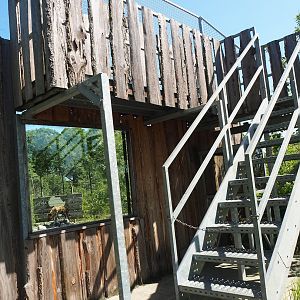 African wild dog viewing area, 2023-05-31