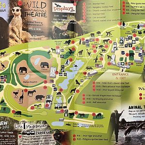 Zoo Map - Summer 2012