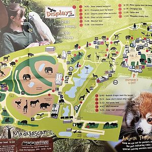 Zoo Map - Summer 2013
