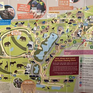 Zoo Map - 2018