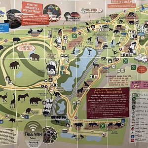 Zoo Map - 2019