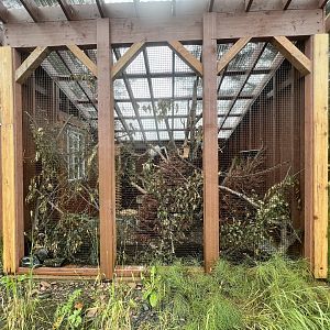 American Red Squirrel Exhibit