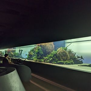Forests Underwater Exhibition