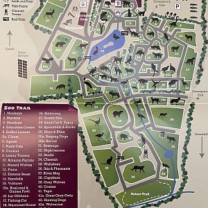 Zoo Map - 2021
