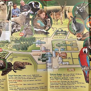 Zoo Map - 2018