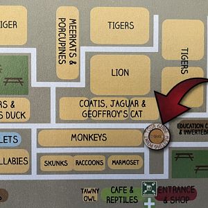 Zoo Map - 2016