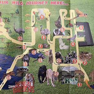 Zoo Map - 2019