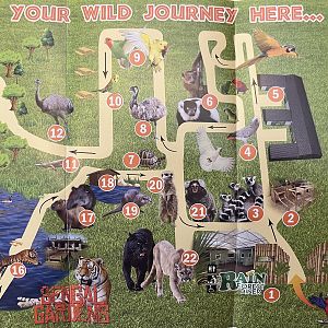 Zoo Map - 2018