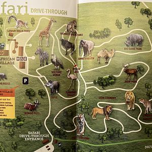 Safari Map - 2015
