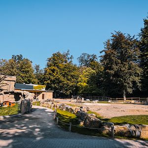 Red panda / tufted deer & camel enclosure & macaque indoor area
