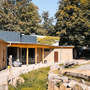 Red panda and tufted deer