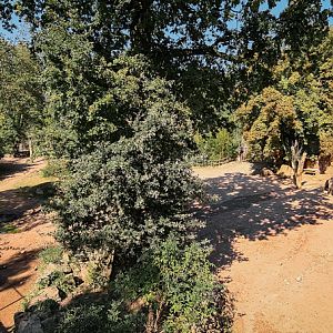 Rhino enclosure part I