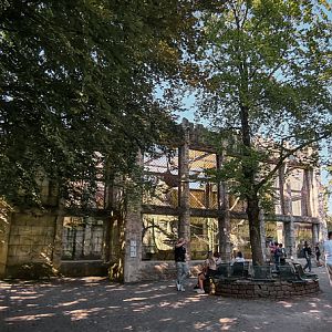 Orang-utan complex in Ankor Wat