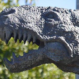 Tyrannosaurus rex (free-roaming)