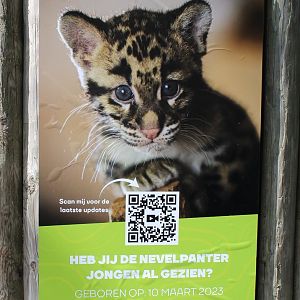 Birth-sign Clouded leopard