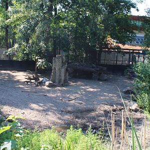 Warthog enclosure