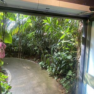 Plantasia - First view of Rainforest area 050923