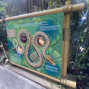 Plantasia - One of the activities 050923