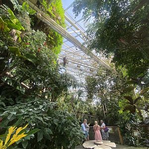 Plantasia - Rainforest view 050923