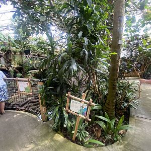 Plantasia - Rainforest area 050923