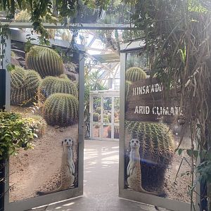 Plantasia - Entrance to Desert Area 050923