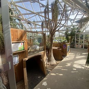 Plantasia - Desert area 050923