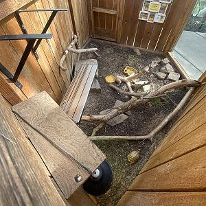 Plantasia - Egyptian tortoise and Bearded dragon exhibit 050923