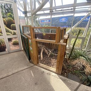 Plantasia - Rio Fuerte beaded lizard exhibit 050923