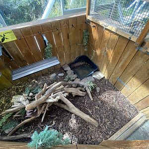 Plantasia - Rio Fuerte beaded lizard exhibit 050923