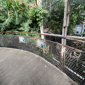 Plantasia - Mixed exhibit 050923