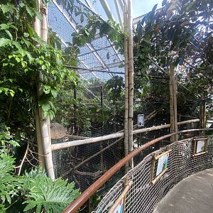 Plantasia - Mixed exhibit 050923