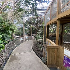 Plantasia - Mixed exhibit and Leopard cat exhibit 050923