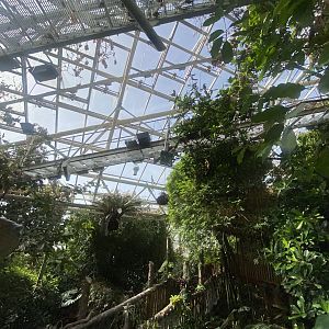 Plantasia - Rainforest area 050923